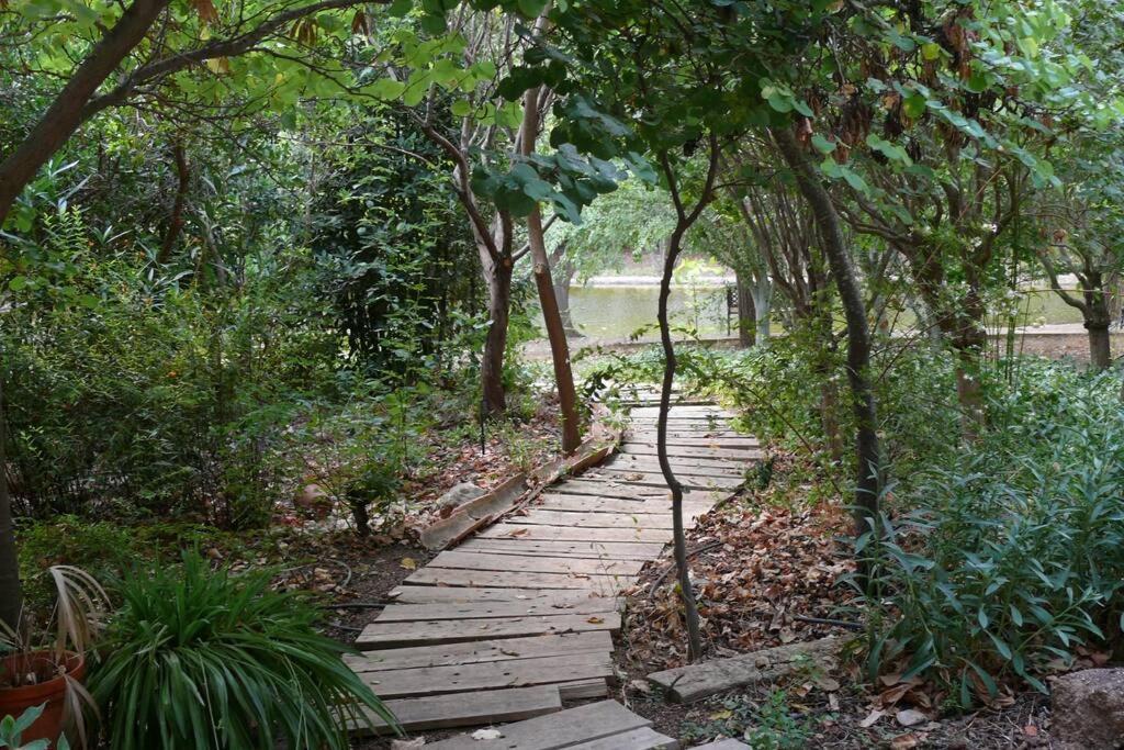Casa En El Campo Con Encanto Almansa Eksteriør bilde