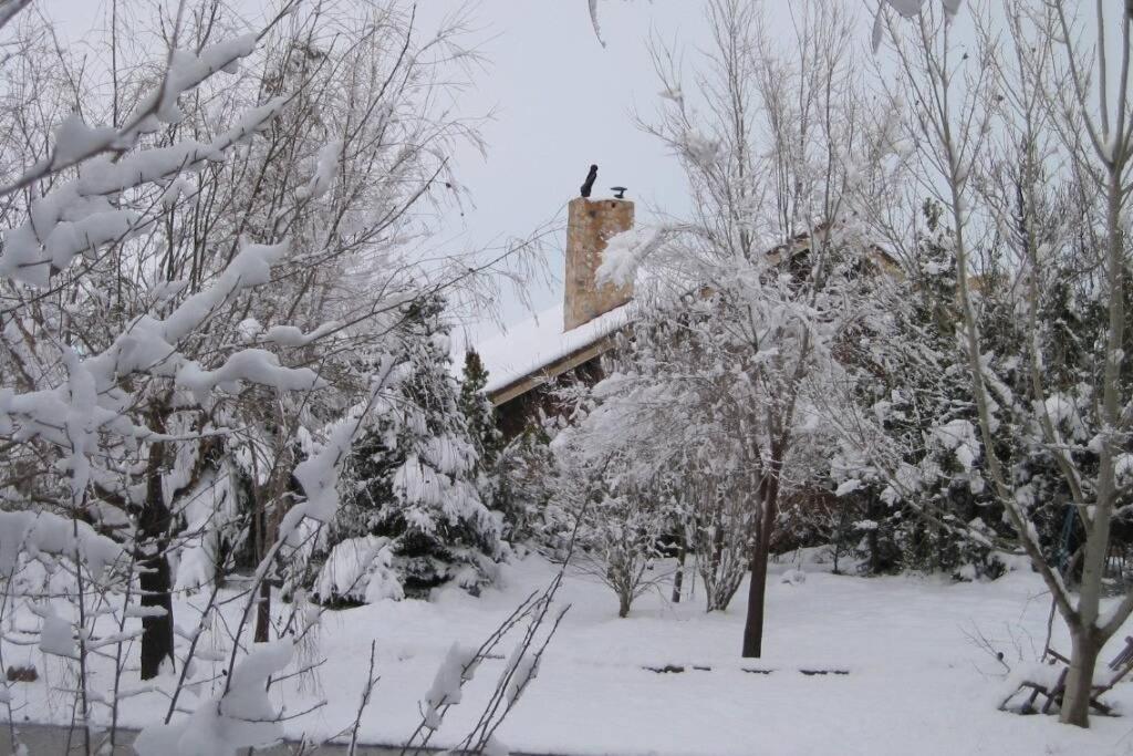 Casa En El Campo Con Encanto Almansa Eksteriør bilde