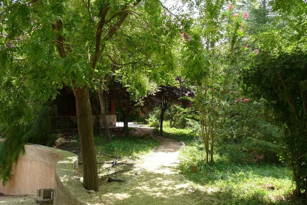 Casa En El Campo Con Encanto Almansa Eksteriør bilde