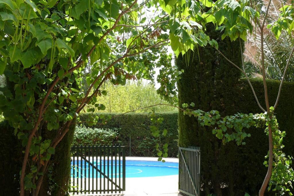 Casa En El Campo Con Encanto Almansa Eksteriør bilde